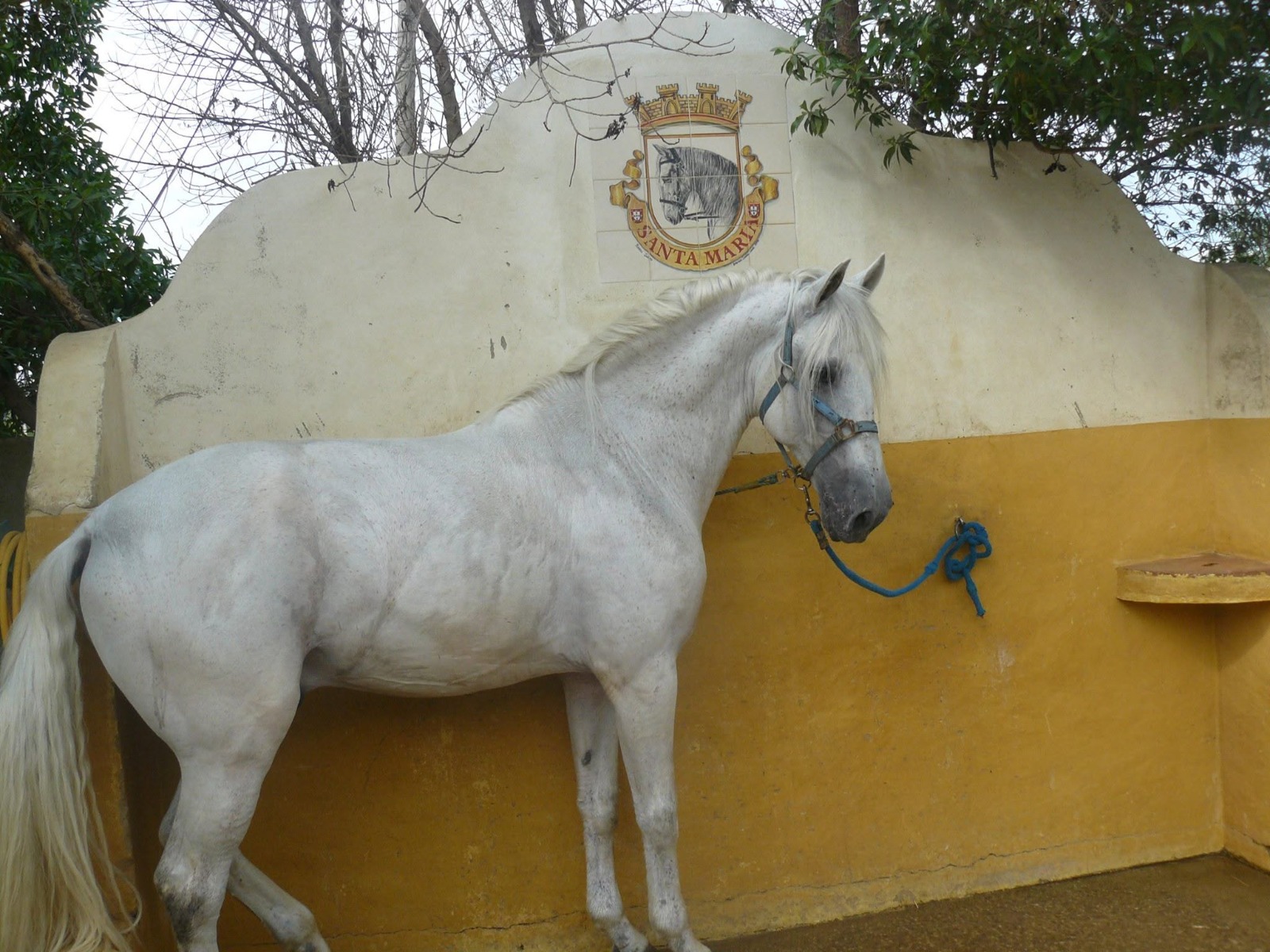 Passeio a cavalo no Centro Hípico Santa Maria, Algarve