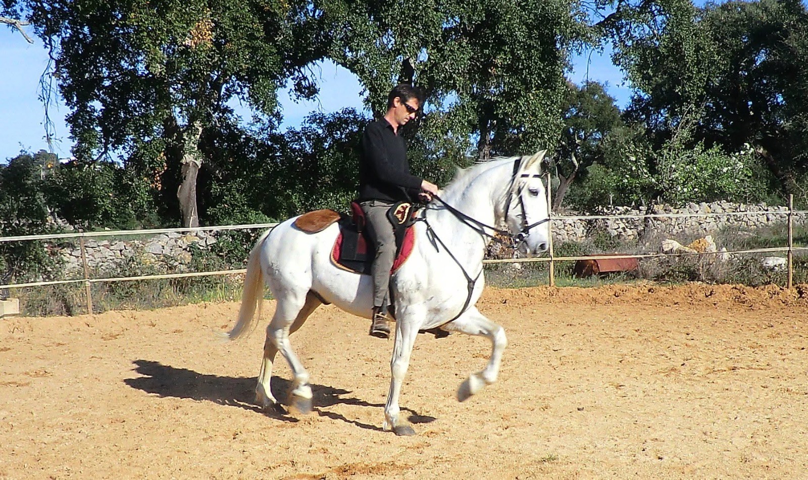 Passeio a cavalo no Centro Hípico Santa Maria, Algarve