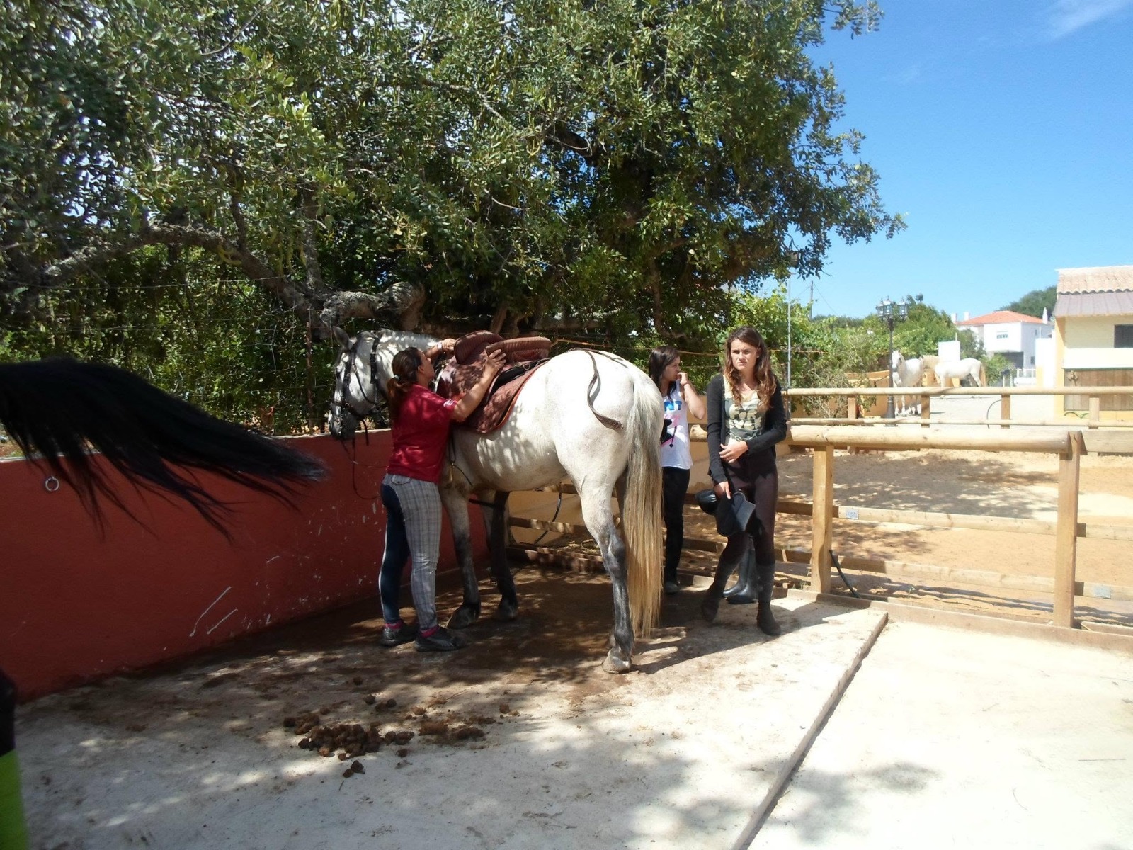 Passeio a cavalo no Centro Hípico Santa Maria, Algarve
