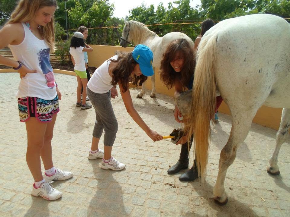Passeio a cavalo no Centro Hípico Santa Maria, Algarve