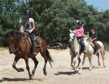 Passeio a cavalo no Centro Hípico Santa Maria, Algarve