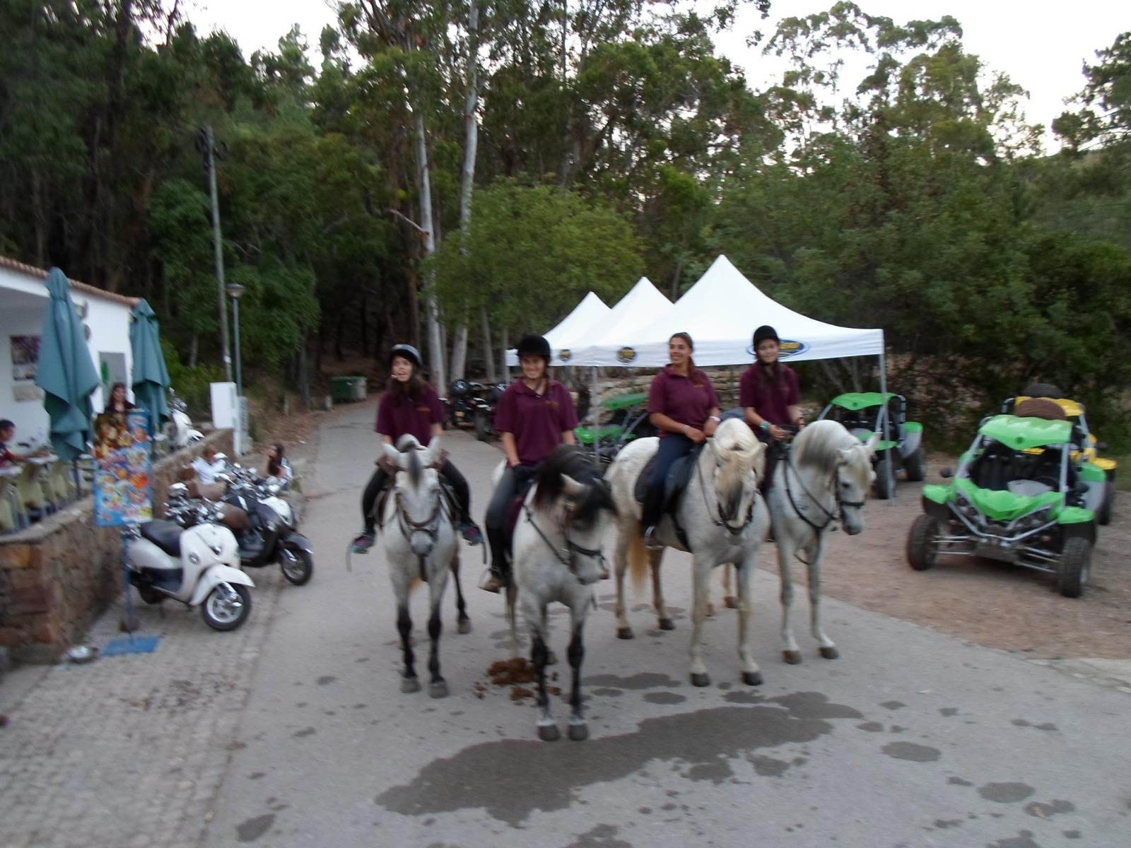 Passeio a cavalo no Centro Hípico Santa Maria, Algarve