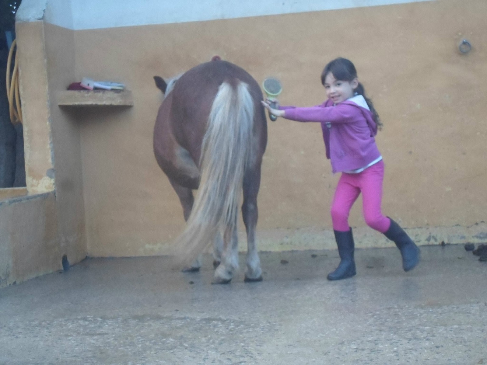 Passeio a pónei no Centro Hípico Santa Maria, Algarve