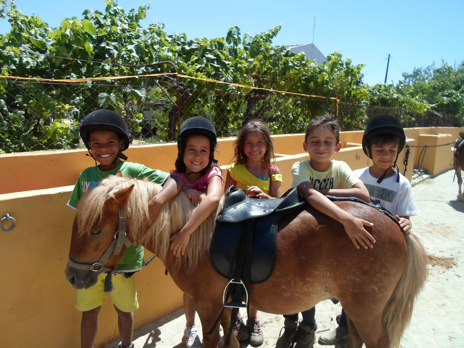 Passeio a pónei no Centro Hípico Santa Maria, Algarve