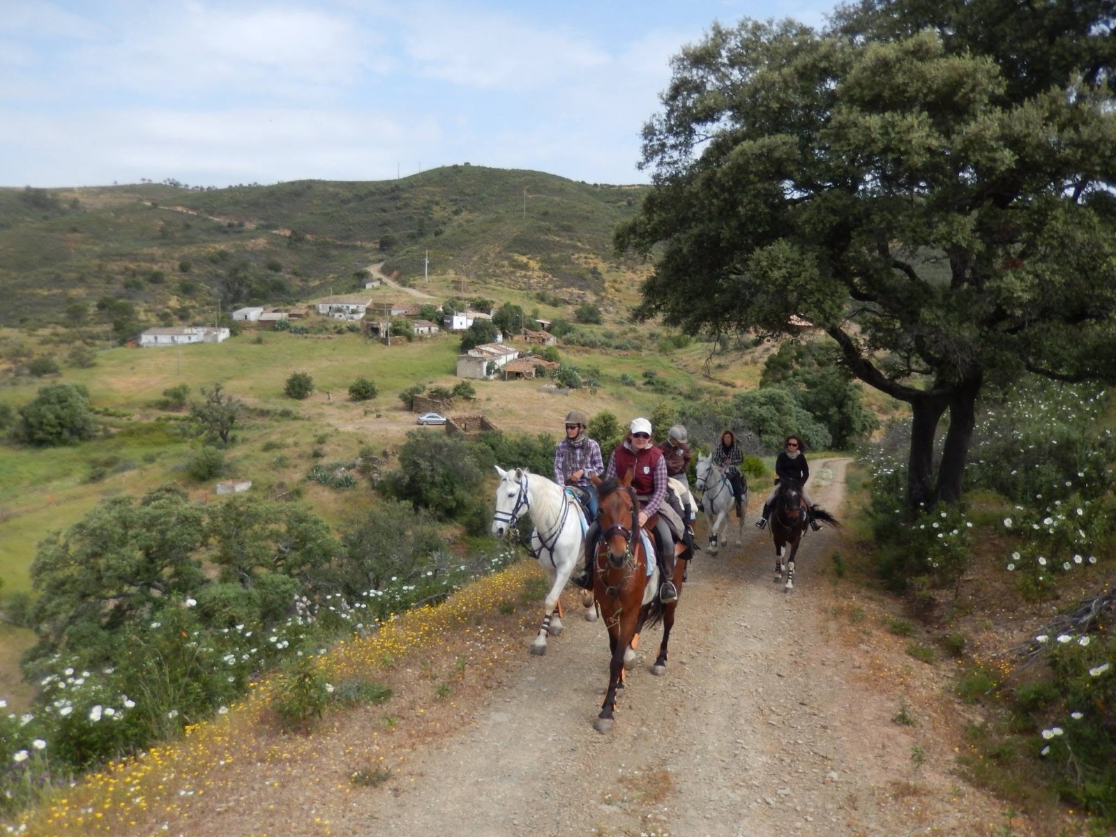 Eventos realizados pelo Centro Hípico Santa Maria, Algarve